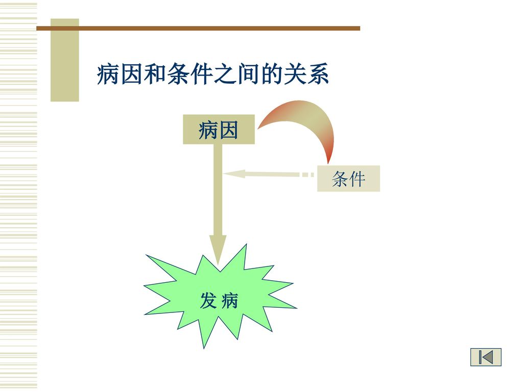 (二 分类 1,内部条件 在病因作用于机体的前提下,能影响疾病发生发展